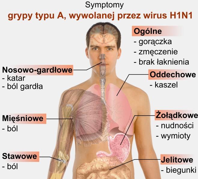 19.001. 60,7 KB. A-H1N1. Wirus grypy typu A... WYSOKIE WĘGLOWODANY TJ. OD 26.01% WZROSTU... GLUKOZA  NIENATURALNA... INDEKS  ŻYWIENIOWY TJ. IŻ  PRODUKTU....JPG